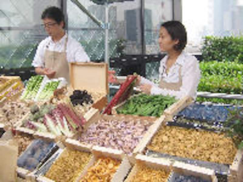 ベージュ アラン・デュカス 東京