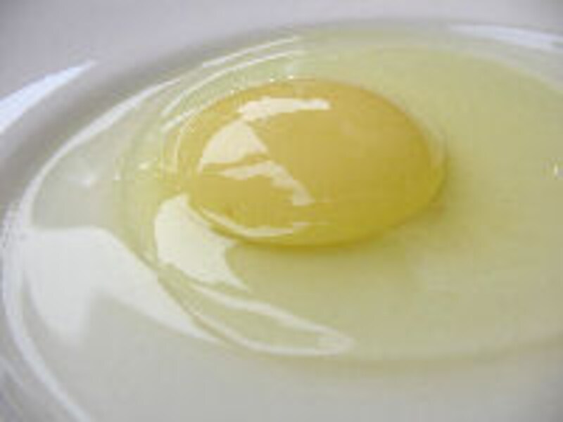 ベージュ アラン・デュカス 東京