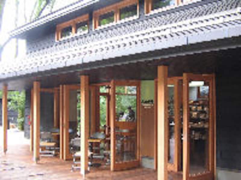 ハルニレ テラス