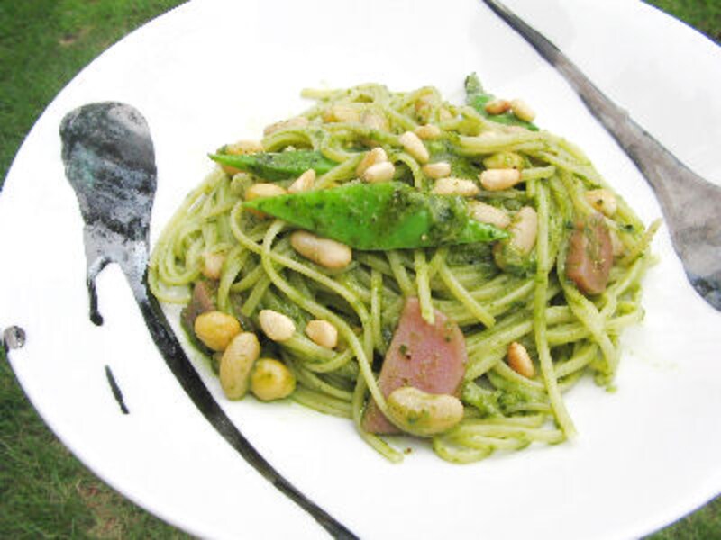 ハルニレ テラス