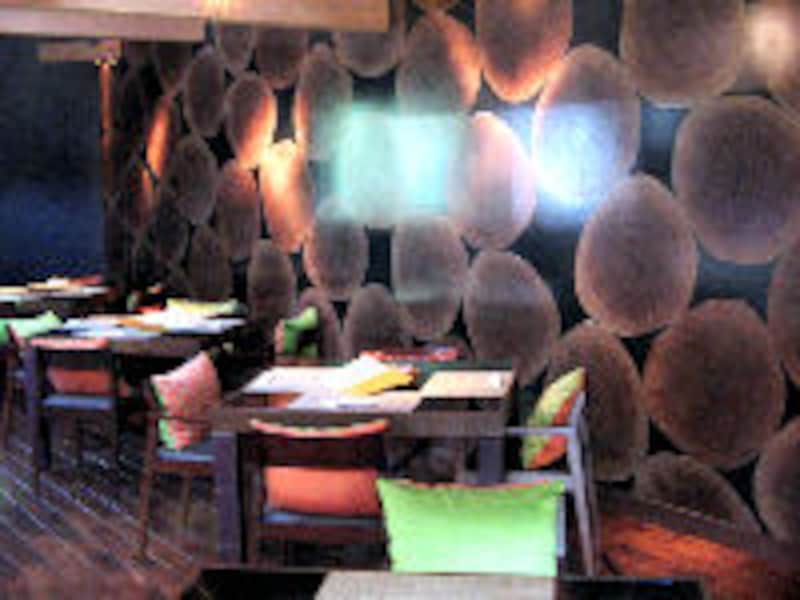 ハルニレ テラス