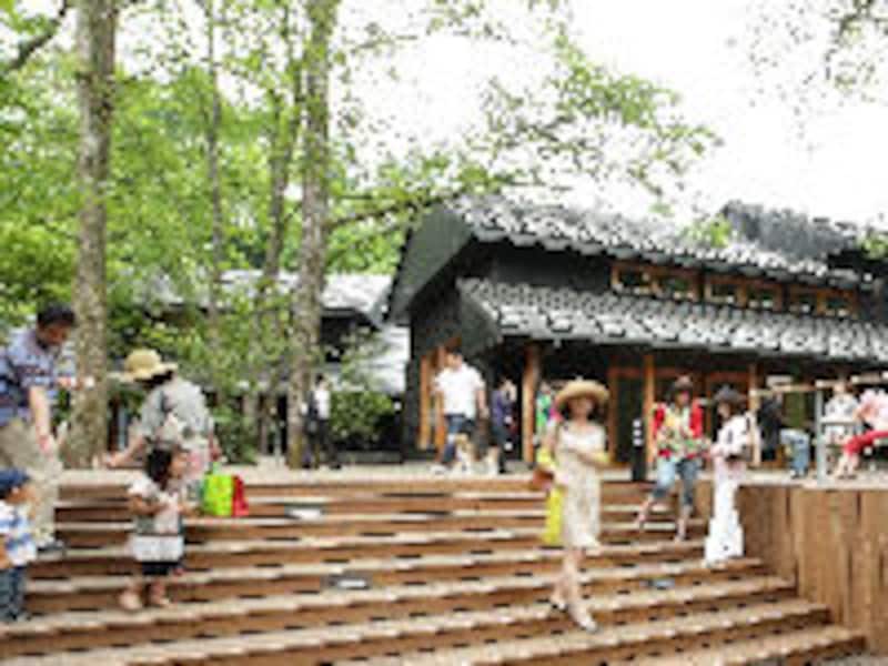 ハルニレ テラス