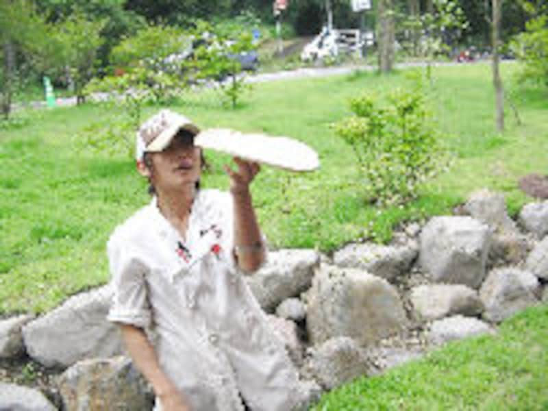 ハルニレ テラス