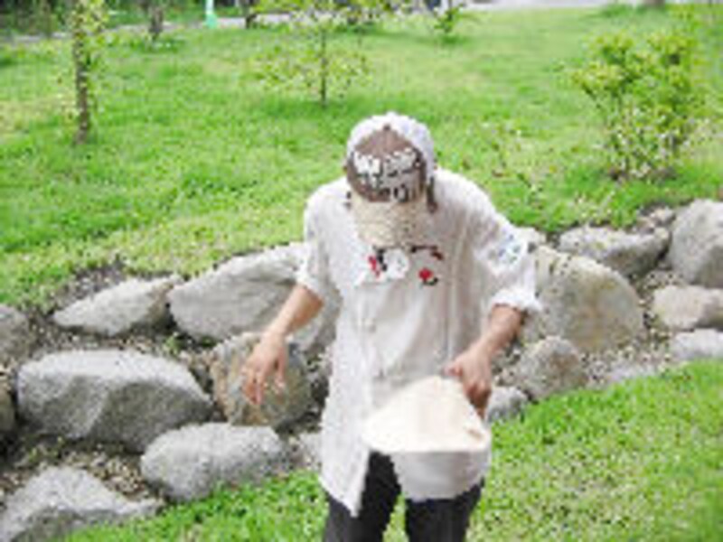 ハルニレ テラス