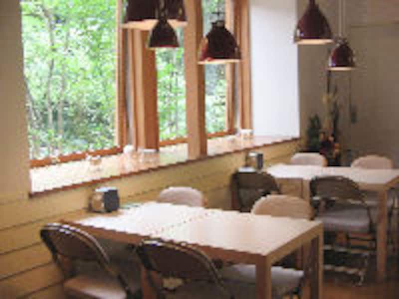 ハルニレ テラス