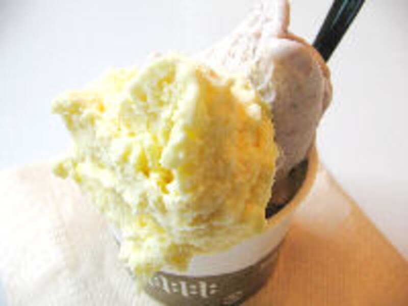 ハルニレ テラス