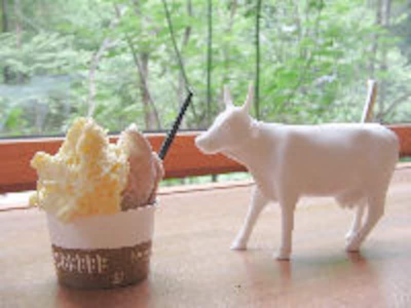 ハルニレ テラス