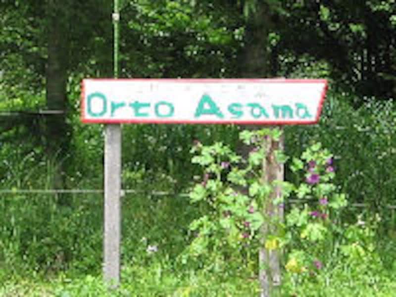 ハルニレ テラス