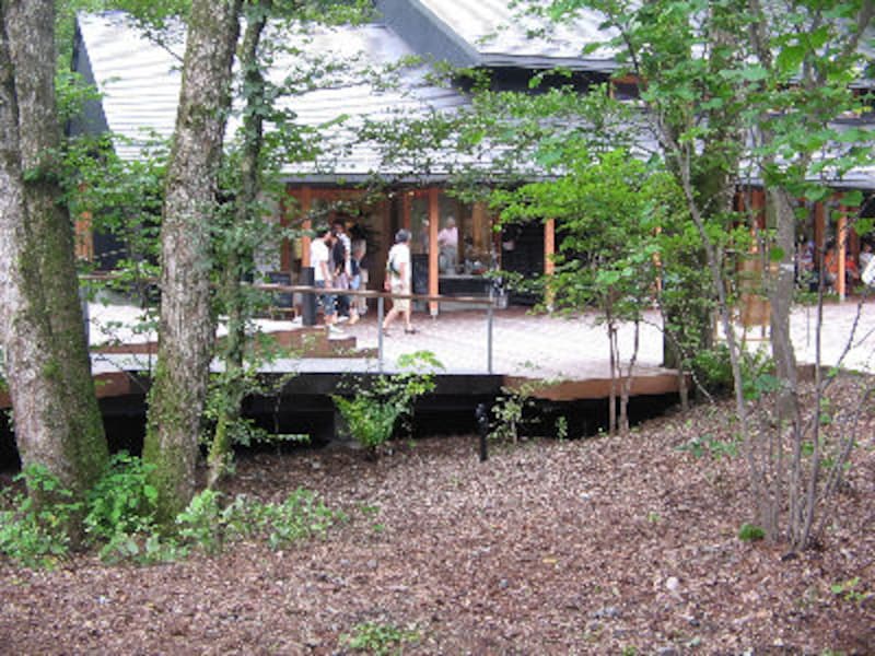 ハルニレ テラス