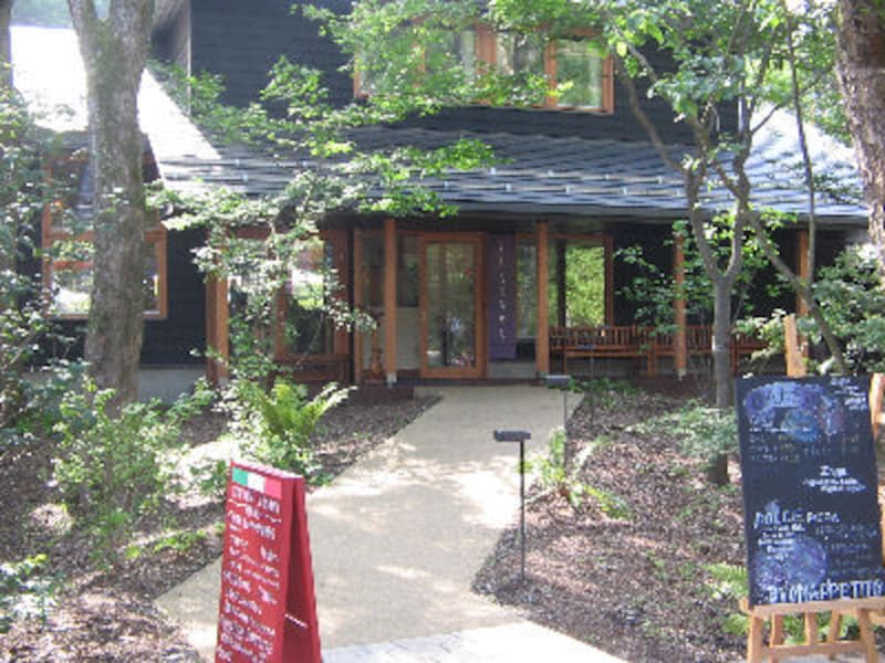 ハルニレ テラス