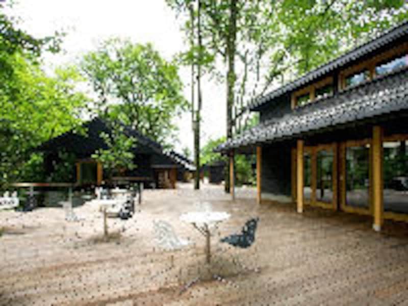 ハルニレ テラス