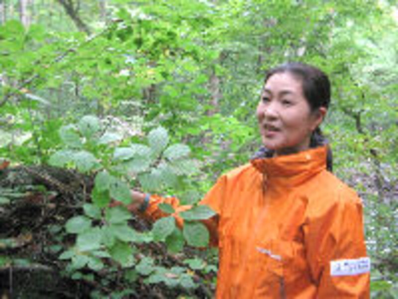 奥入瀬渓流ホテル