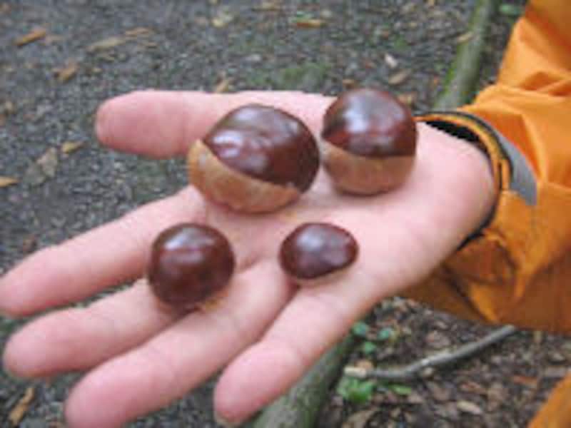 奥入瀬渓流ホテル