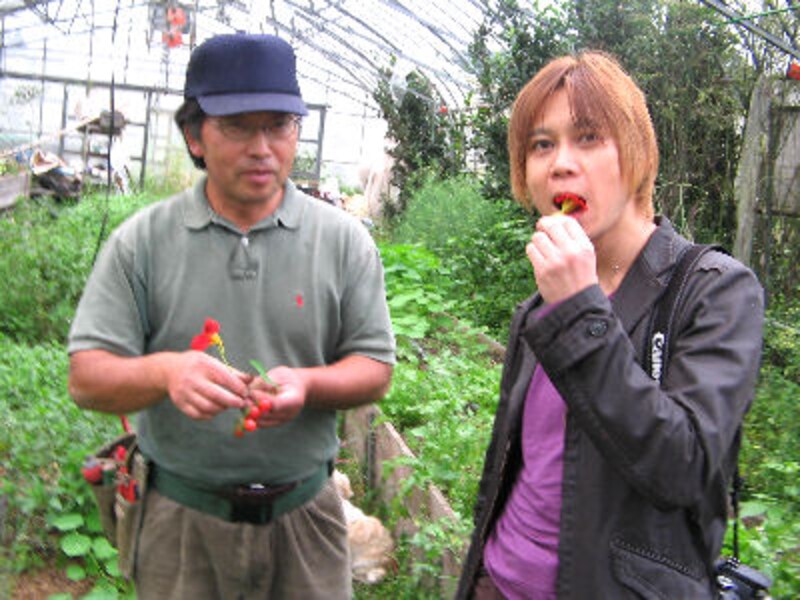 大西ハーブ農園×ラ・ヴェロニカ