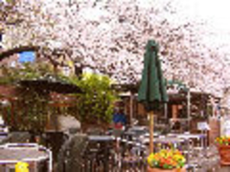 ドラマで使われたレストラン永久保存版10！