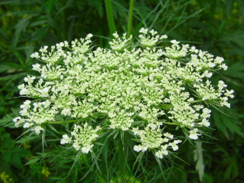 ドラマで使われたレストラン永久保存版14！