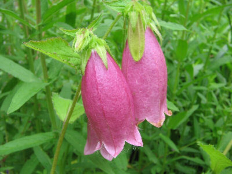 ドラマで使われたレストラン永久保存版14！