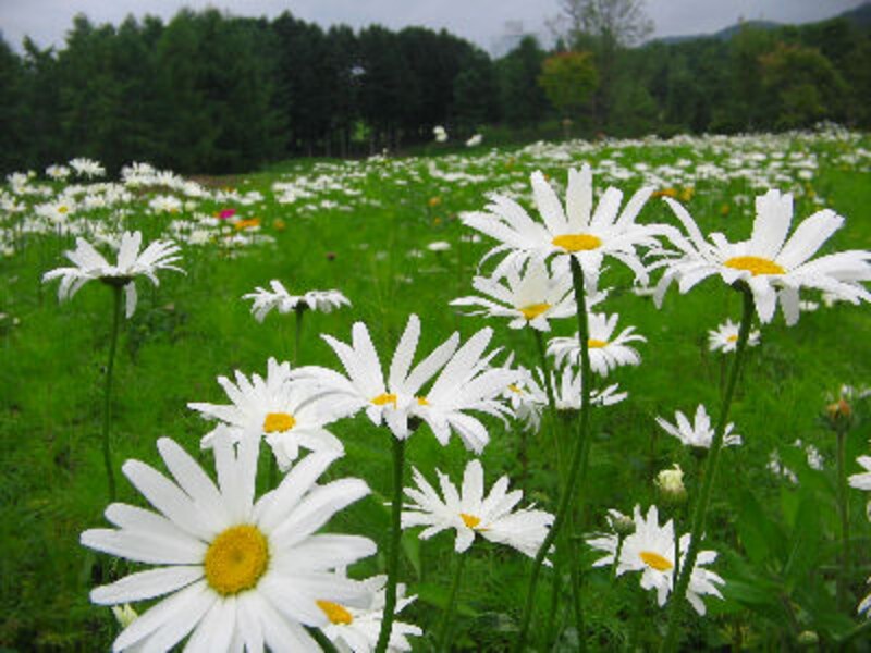 ドラマで使われたレストラン永久保存版14！