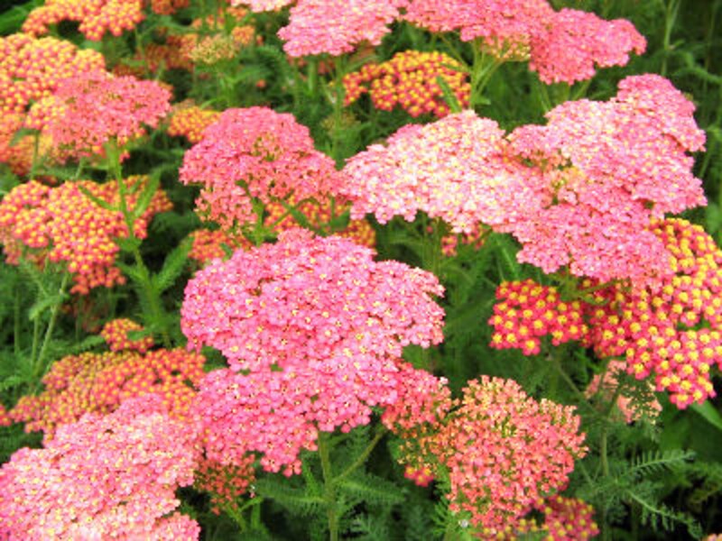 ドラマで使われたレストラン永久保存版14！