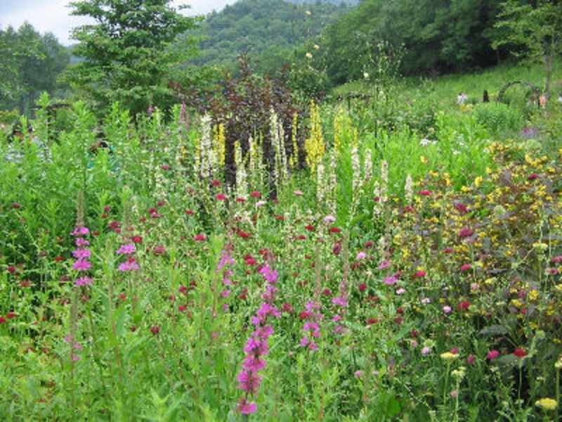 ドラマで使われたレストラン永久保存版14！