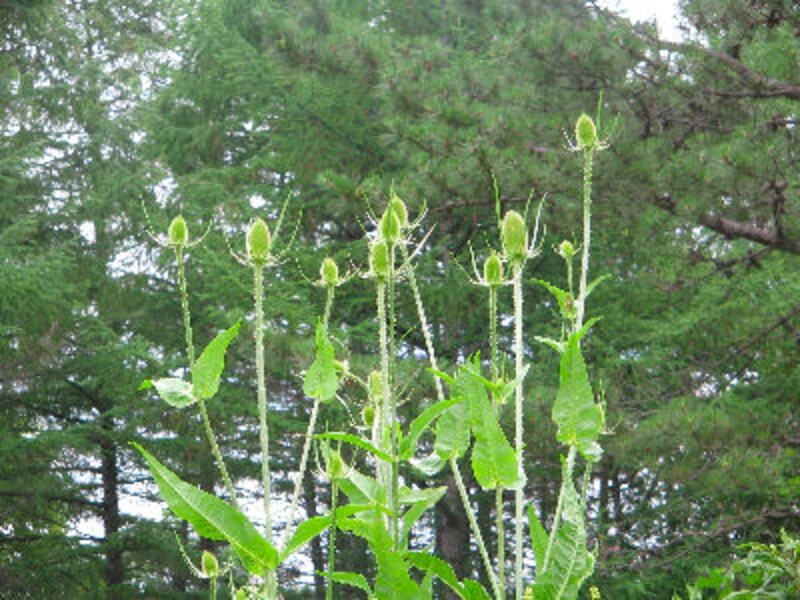 ドラマで使われたレストラン永久保存版14！