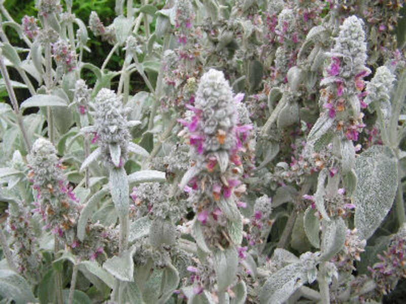 ドラマで使われたレストラン永久保存版14！