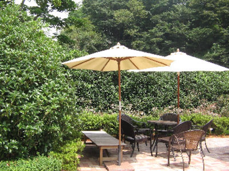 カフェ・ナチュレ