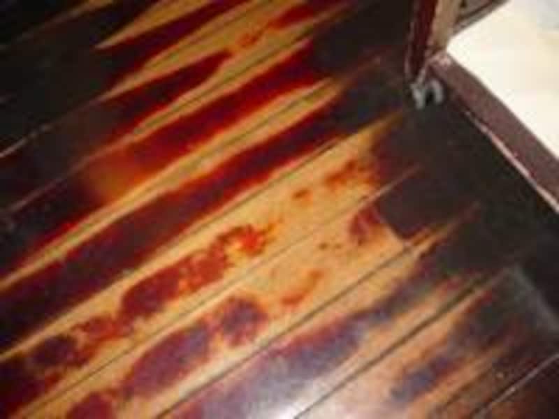 写真のタイトル