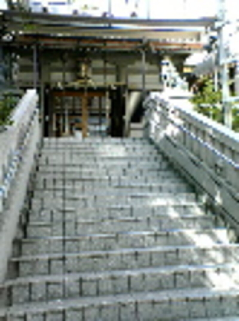 写真のタイトル