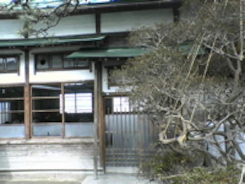 写真のタイトル
