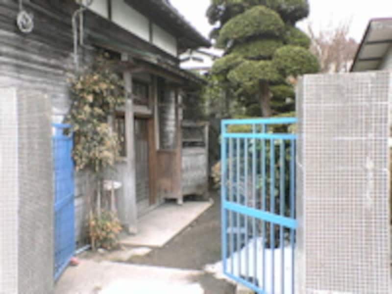 写真のタイトル