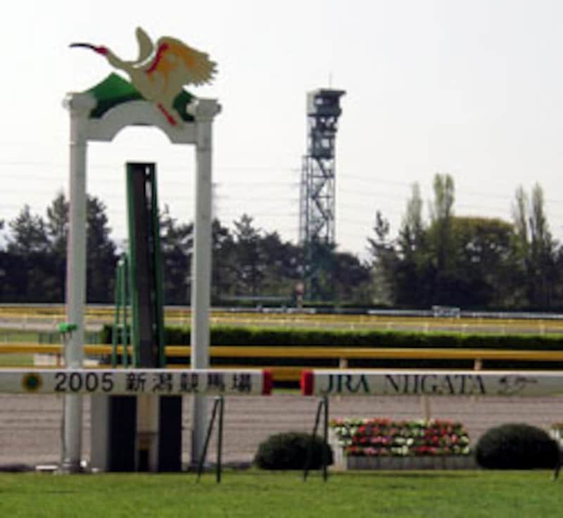 JRA新潟競馬場のゴール板