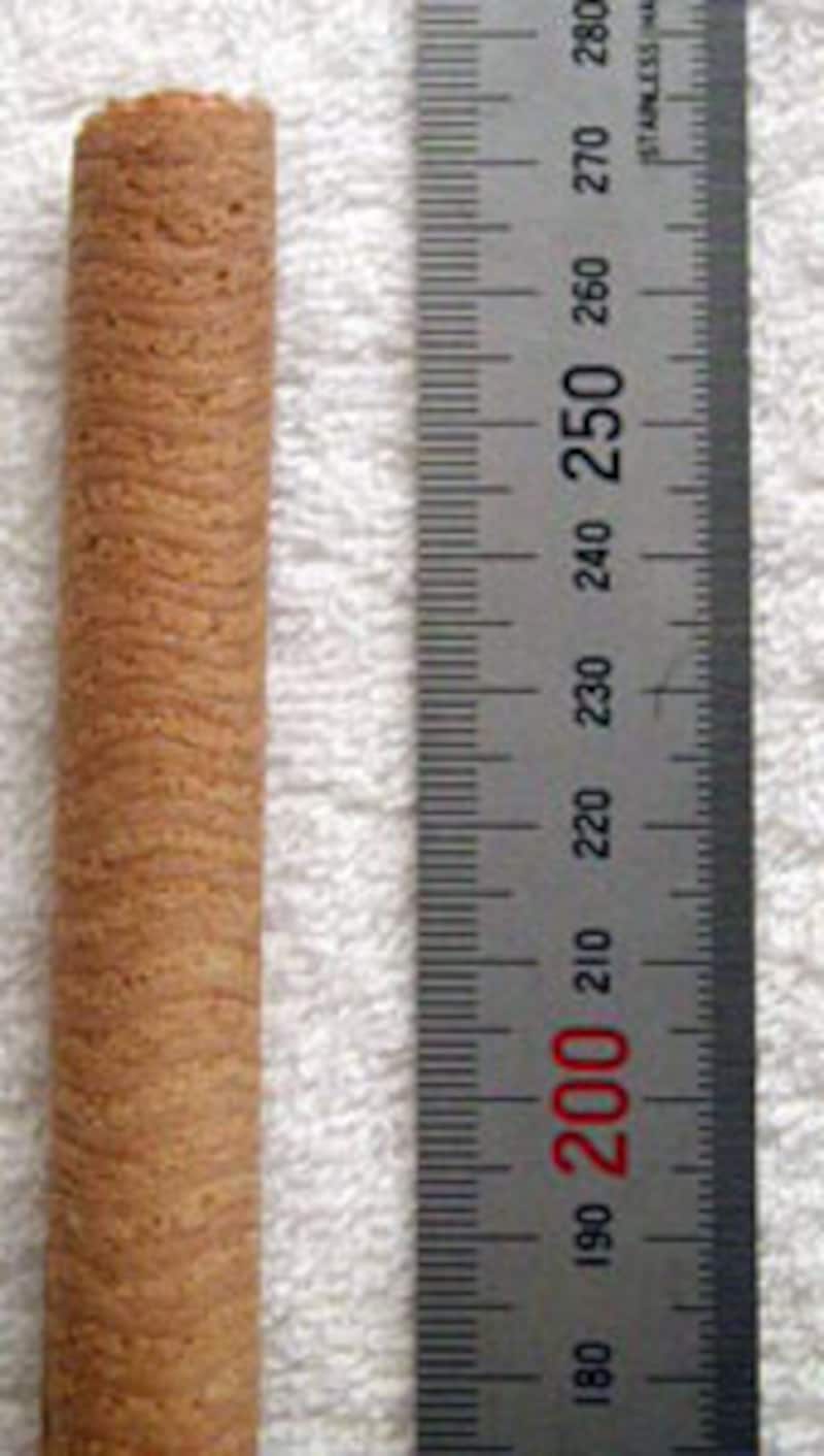 江崎グリコ かぶりつきコロン