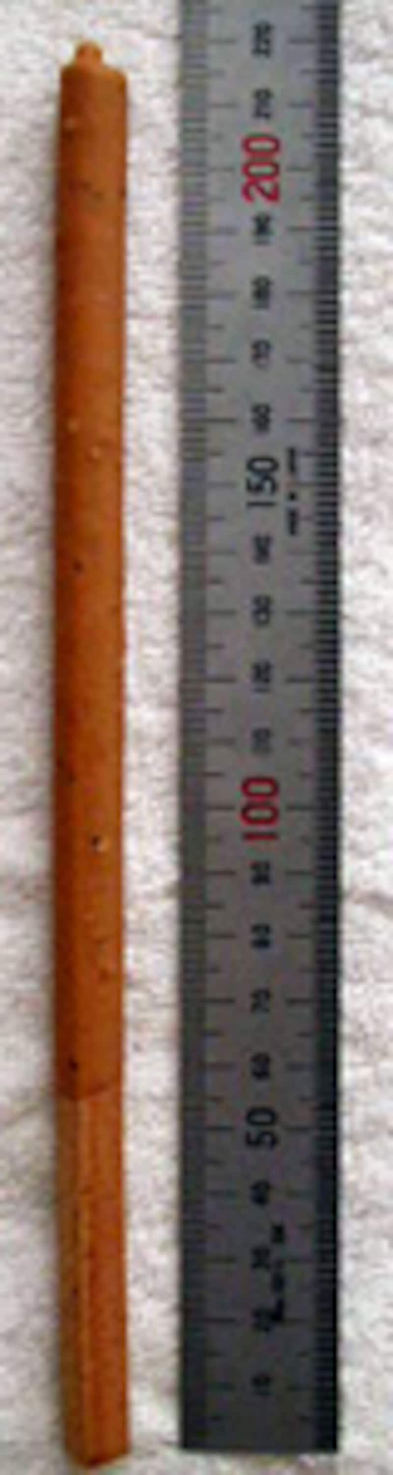 江崎グリコ かぶりつきポッキー