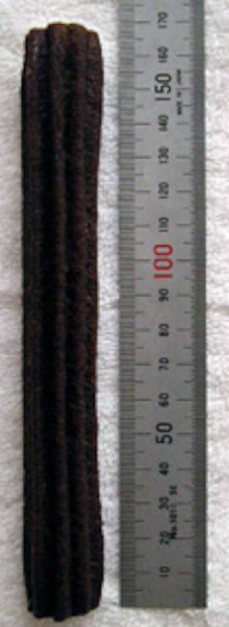 エグザクト 鬼に金棒