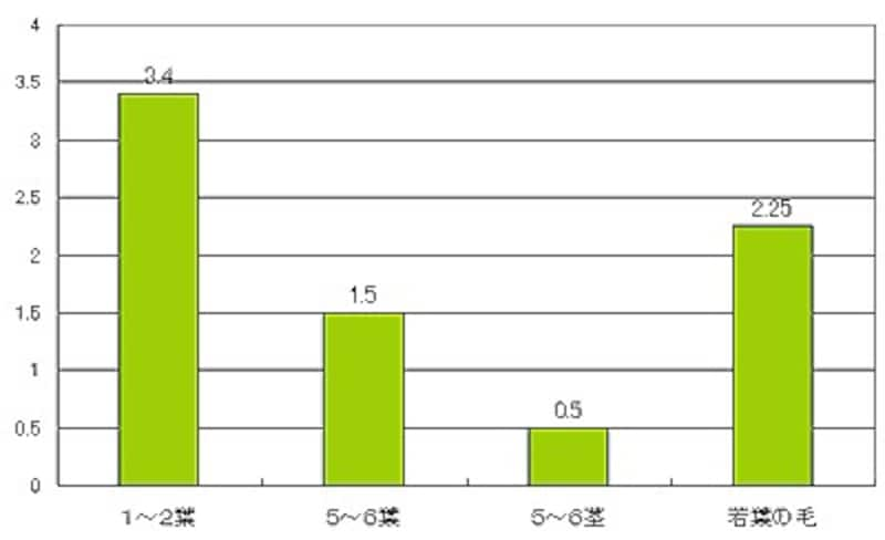 カフェインとお茶の関係 効果や含有量は 中国茶 All About