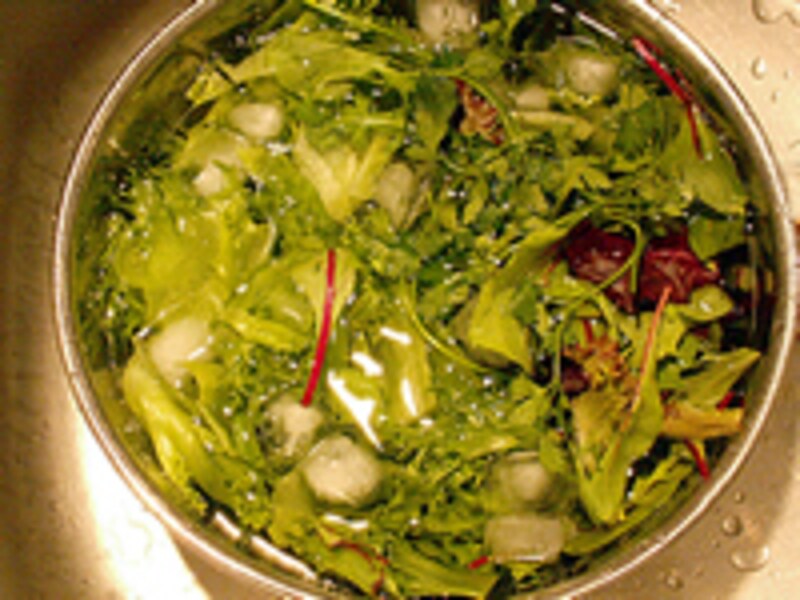 大きなステンレスボウルの中で氷水に漬かっているレタス、ベビーリーフとイタリアンパセリ