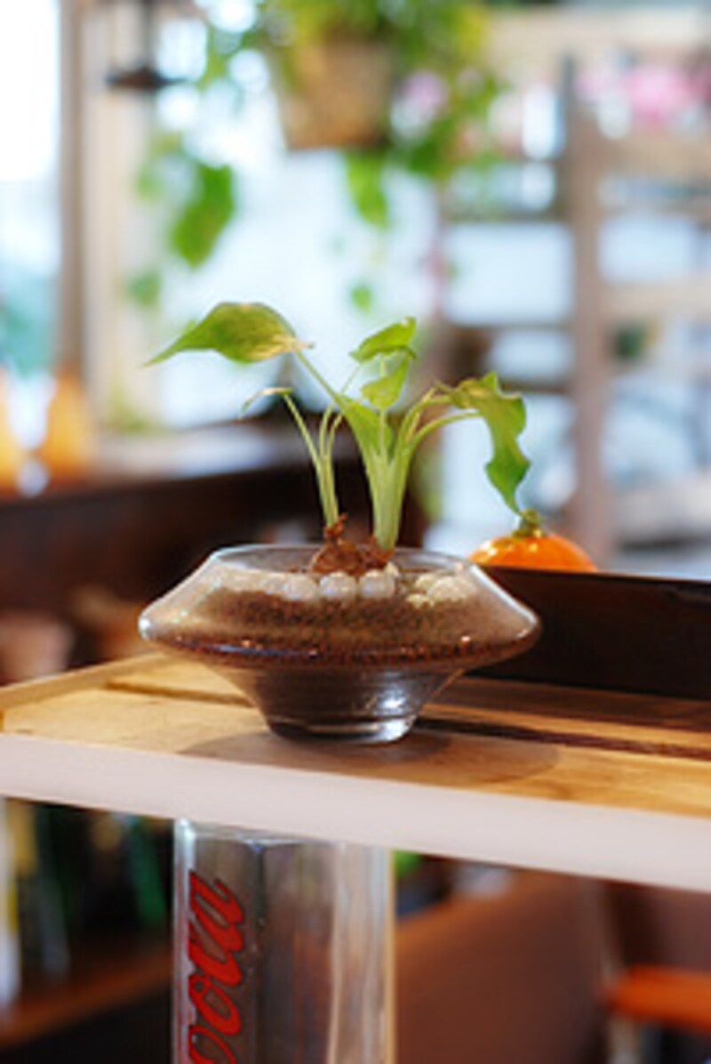 カフェの店内写真