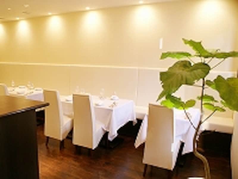 モダンな空間の中に、的確に緑を配置することで安らぎを与えてくれます