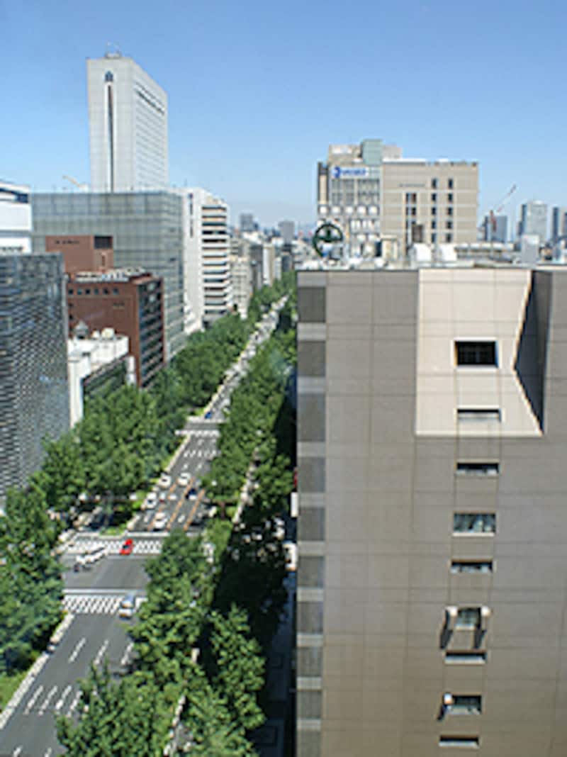個室からは御堂筋を見下ろし、美しい並木が