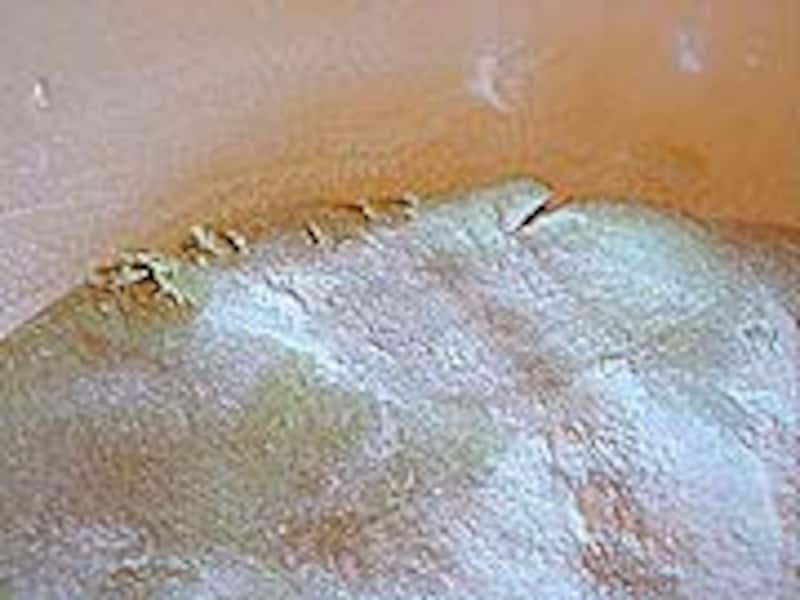 ダッタンソバ粉