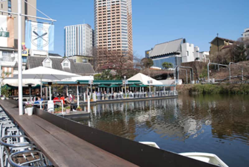 浮き島カフェでお花見ランチ 飯田橋 ランチ All About 浮き島カフェでお花見ランチ 飯田橋 ランチ All About