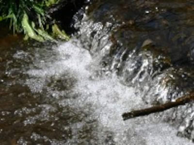 水
