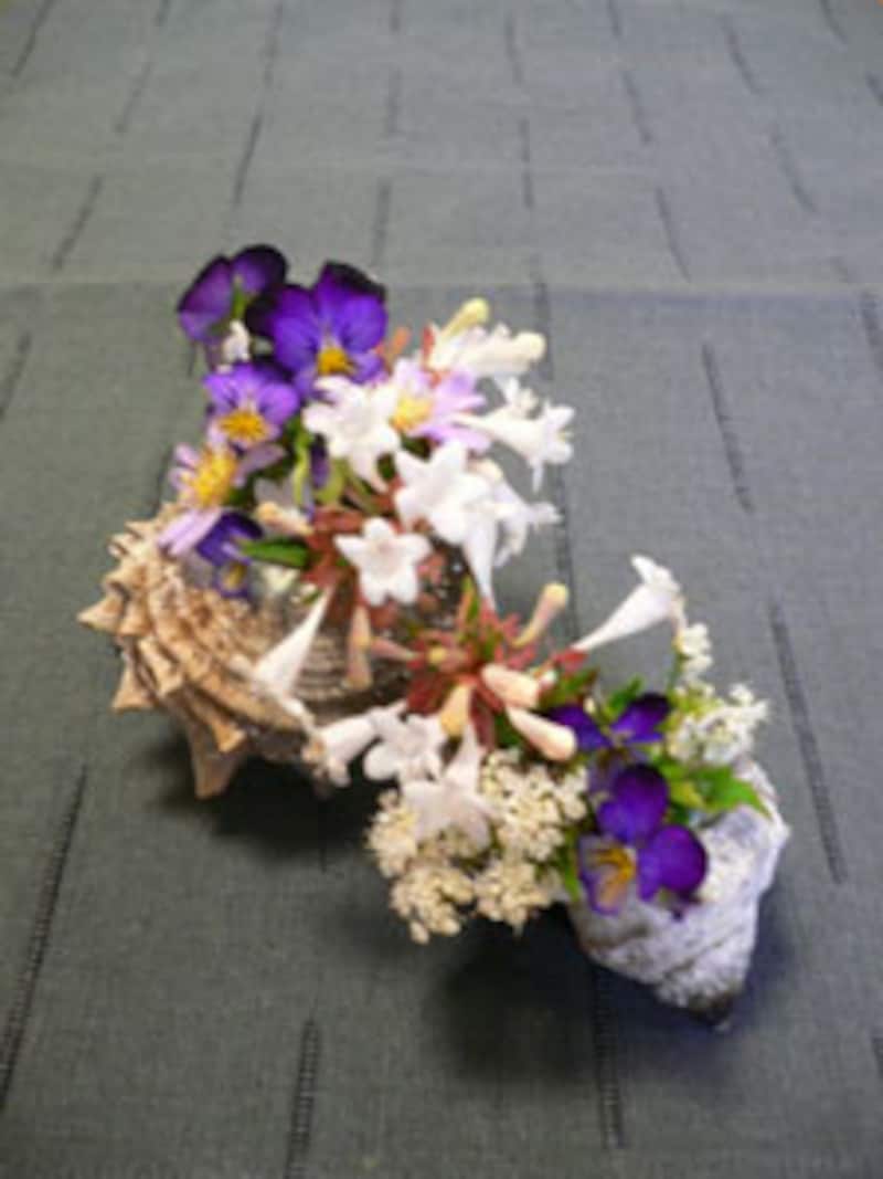 サザエのアレンジ