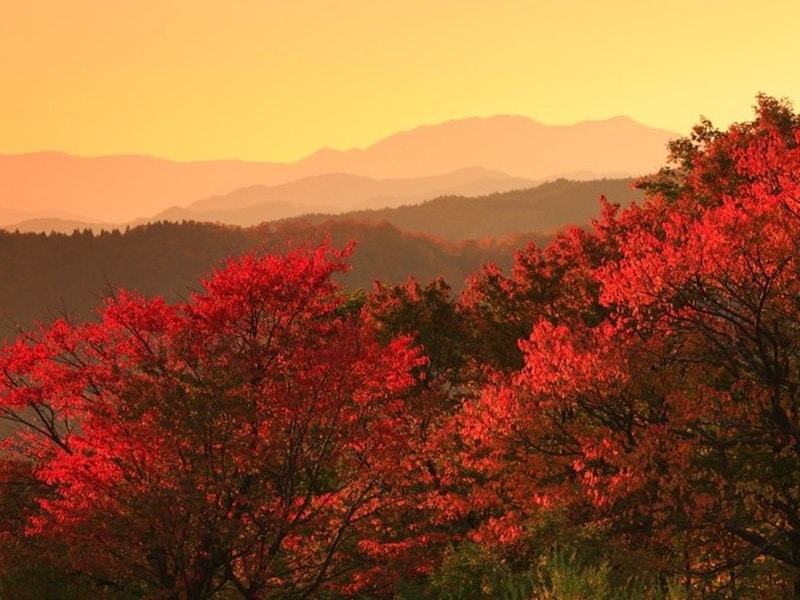 秋の夕日に 照る山もみじ~「紅葉」詞:高野辰之/曲:岡野貞一