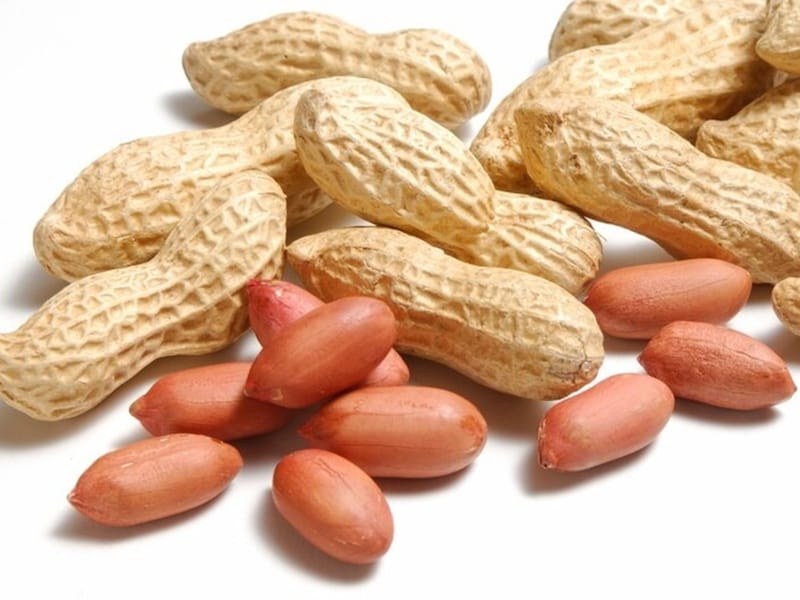 節分の豆まきに落花生を使う地方があります。その理由や数え方は？