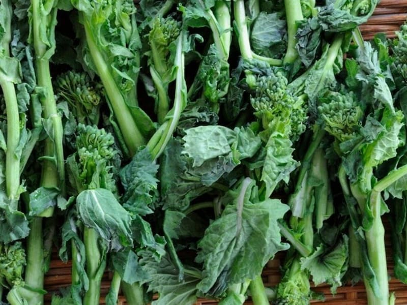 菜の花料理の食材になる時期はアオナと呼ばれます