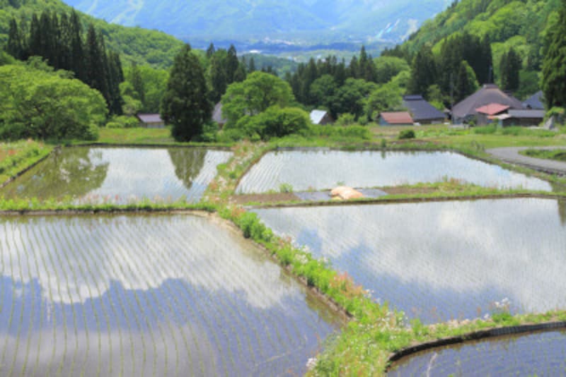 旧暦 和風月名を12カ月言えますか 風情ある月の異称 別称 暮らしの歳時記 All About