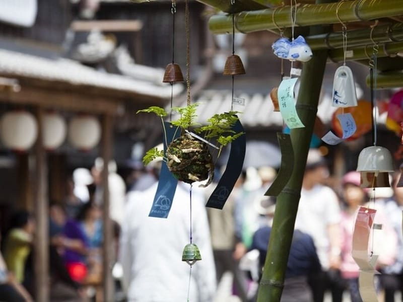 「釣り忍（つりしのぶ）」とは？