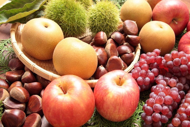 ぶどう、梨、りんご、栗…実りの秋は味覚狩りが楽しい！